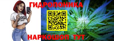 ешки Гай