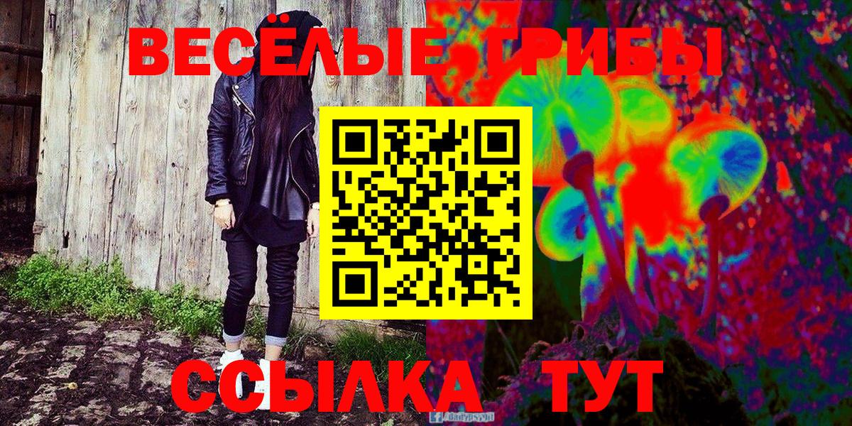 Нижнекамск  Галлюциногенные грибы Psilocybe  Вход с VPN 